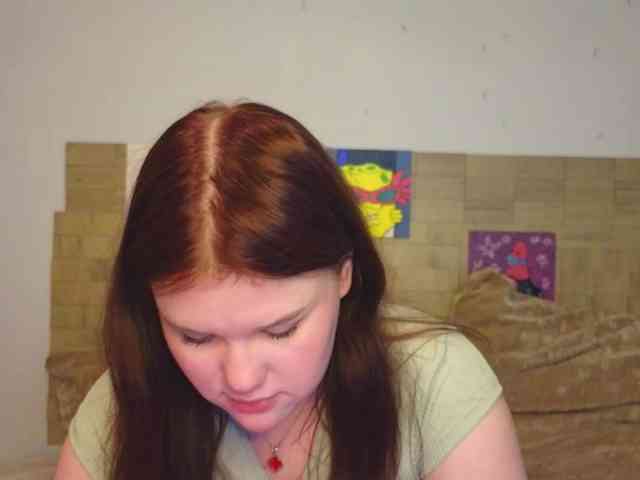 Lasey webcam
