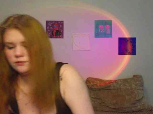 Lasey webcam