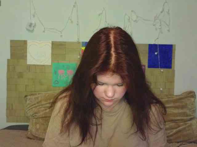 Lasey webcam
