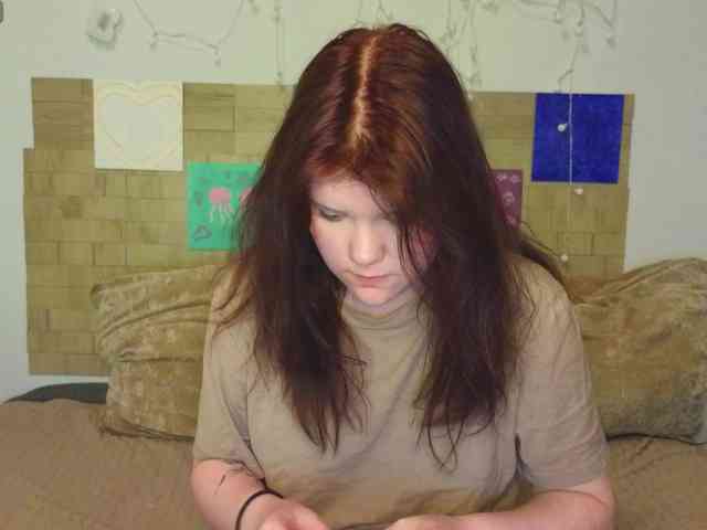 Lasey webcam