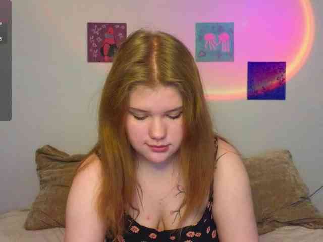 Lasey webcam