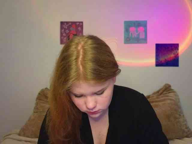 Lasey webcam
