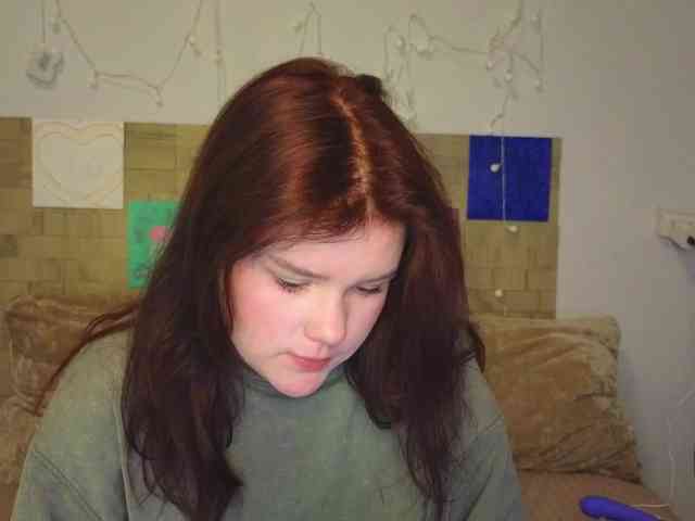 Lasey webcam