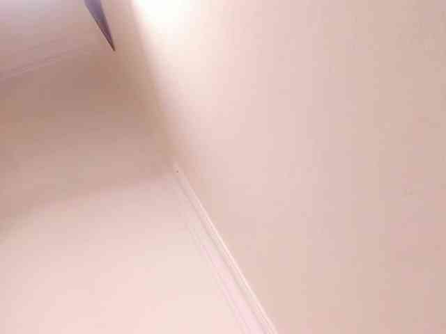 jasminmelonsa jasminmelonsa