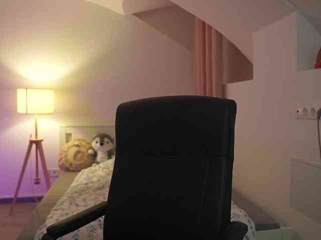 lisamccoy webcam