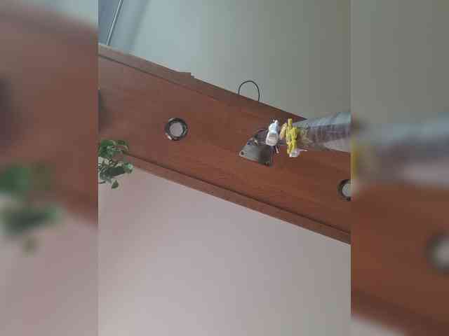 Dimon23sm