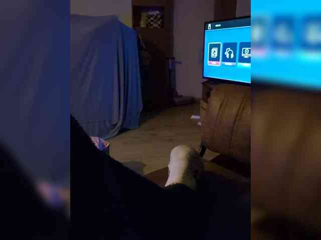 Dimon23sm Sex Cam Show
