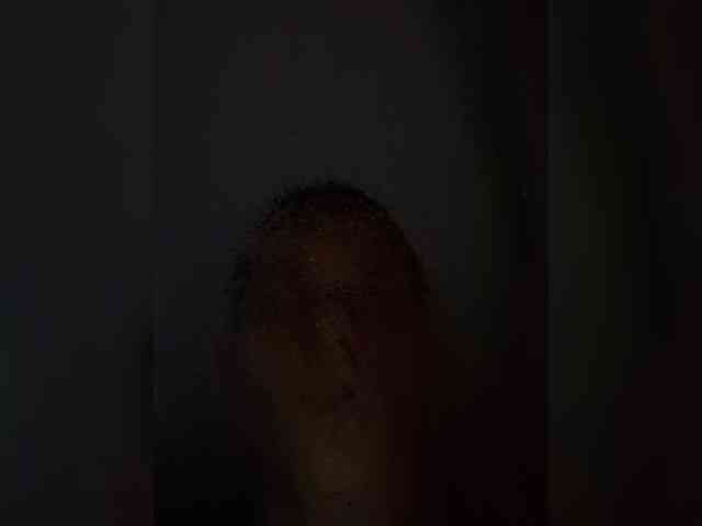 Dimon23sm