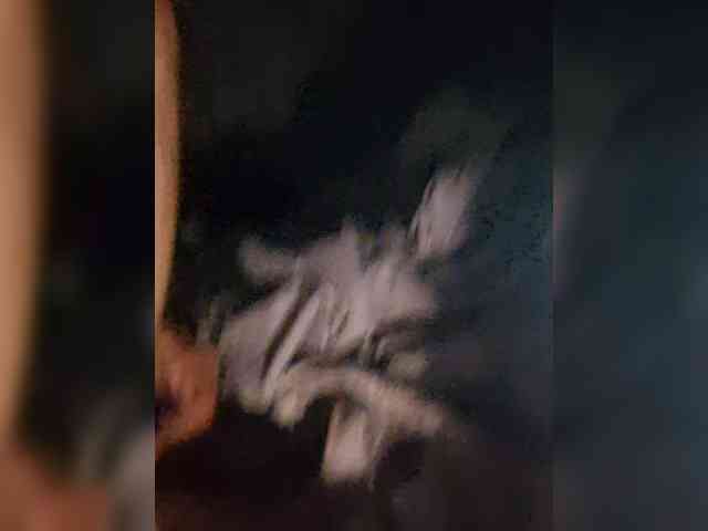 Dimon23sm