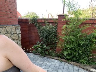 BustyLina Porn Show