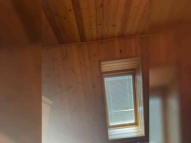 BustyLina webcam