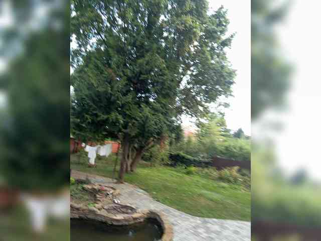 BustyLina webcam