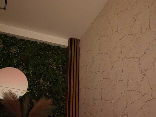 sisi-von-dee's BongaCams show and profile