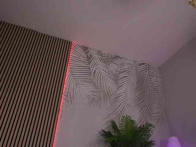 sisi-von-dee webcam