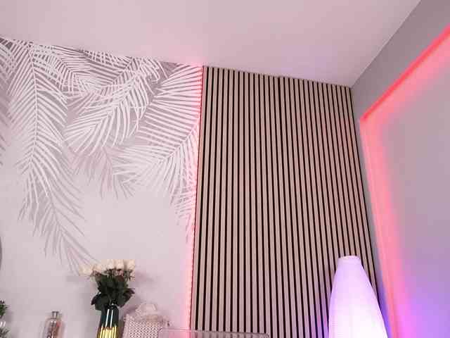 sisi-von-dee webcam