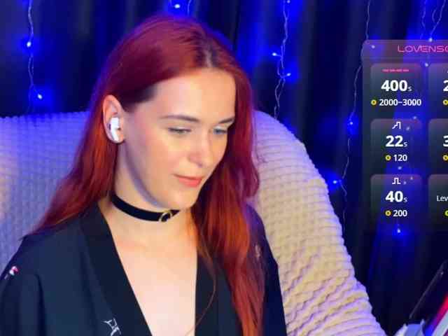 Veks webcam