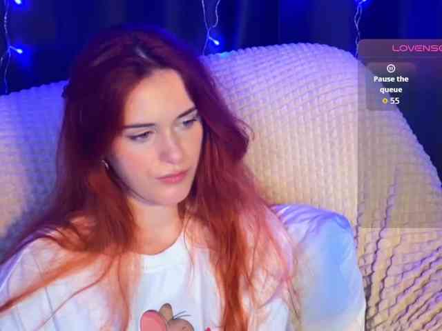 Veks webcam