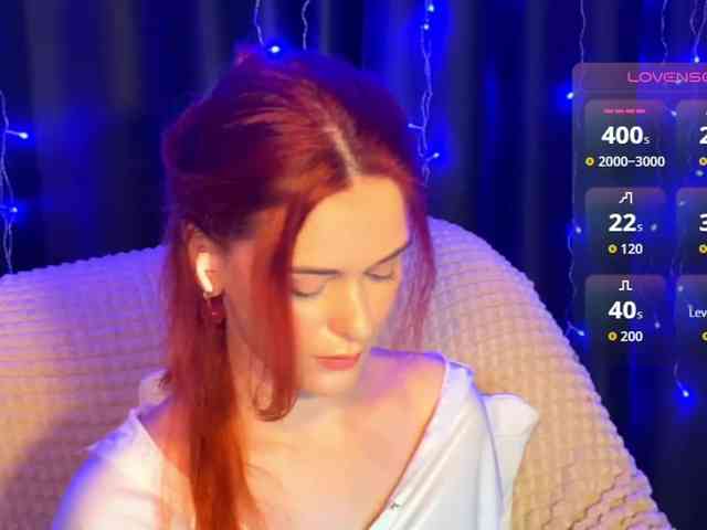 Veks webcam
