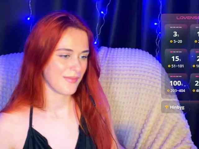 Veks webcam