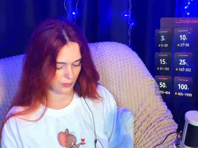 Veks webcam