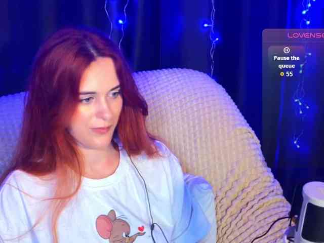 Veks webcam