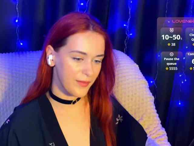 Veks webcam
