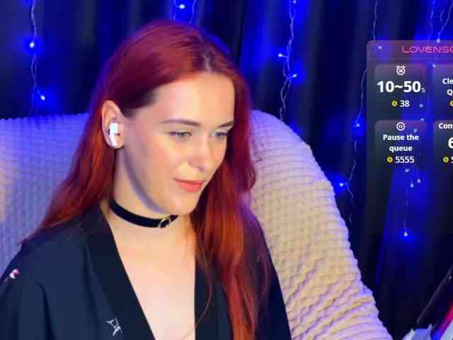 Veks webcam