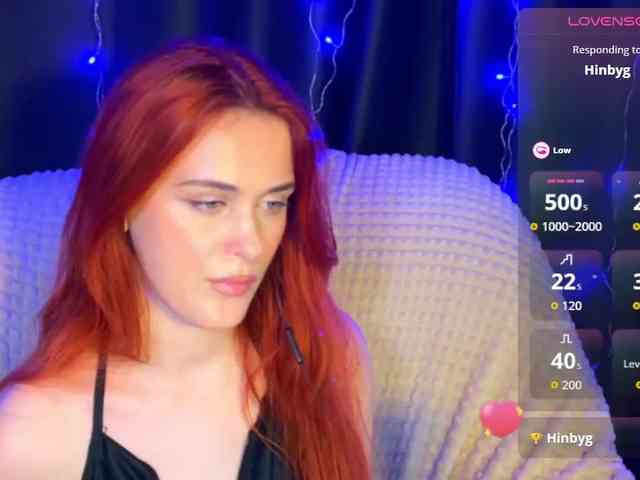Veks webcam