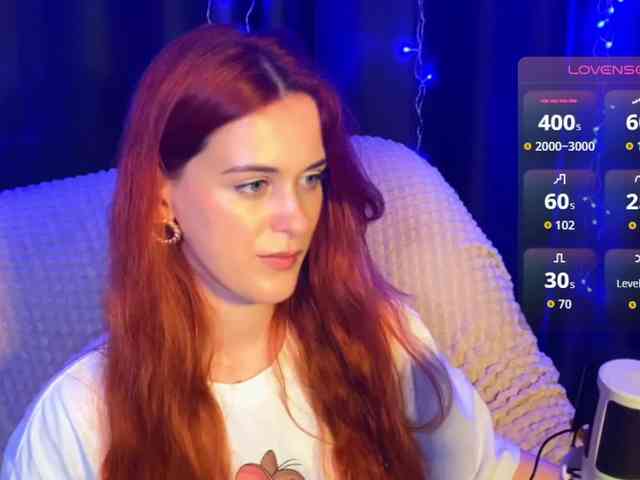 Veks webcam