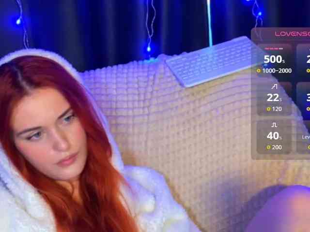 Veks webcam