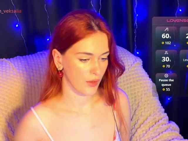 Veksalia webcam