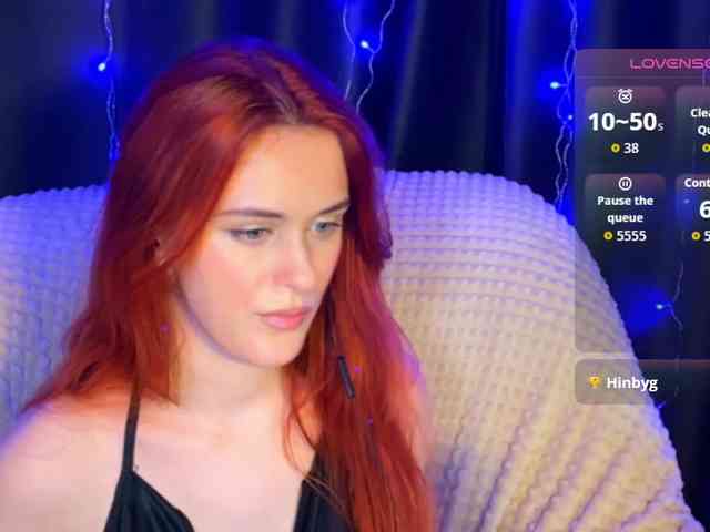 Veks webcam