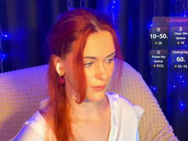Veks webcam