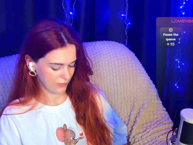 Veks webcam