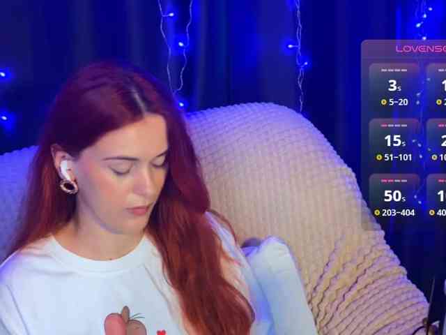Veks webcam