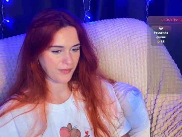 Veks webcam