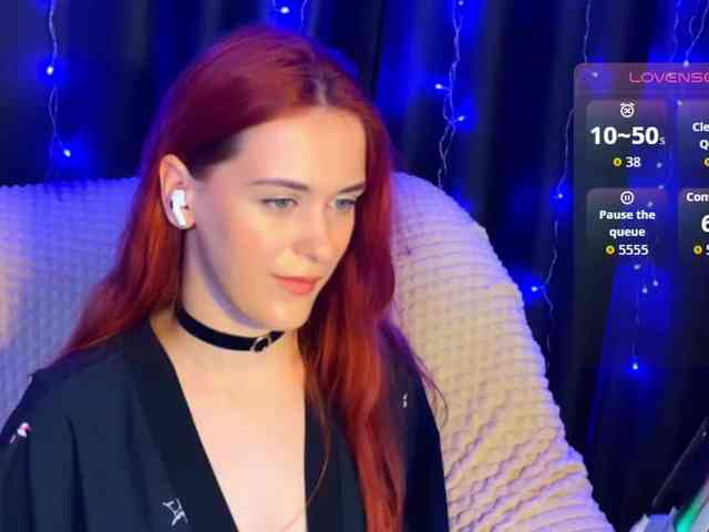Veks webcam