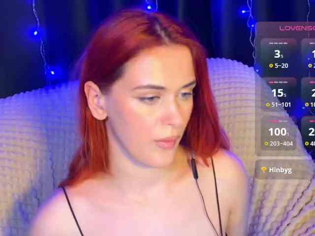 Veks webcam