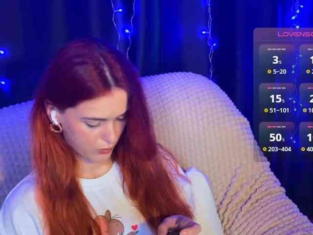 Veks webcam