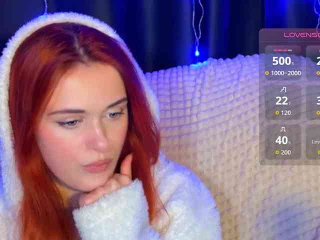 Veks webcam