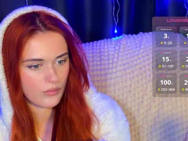 Veks webcam