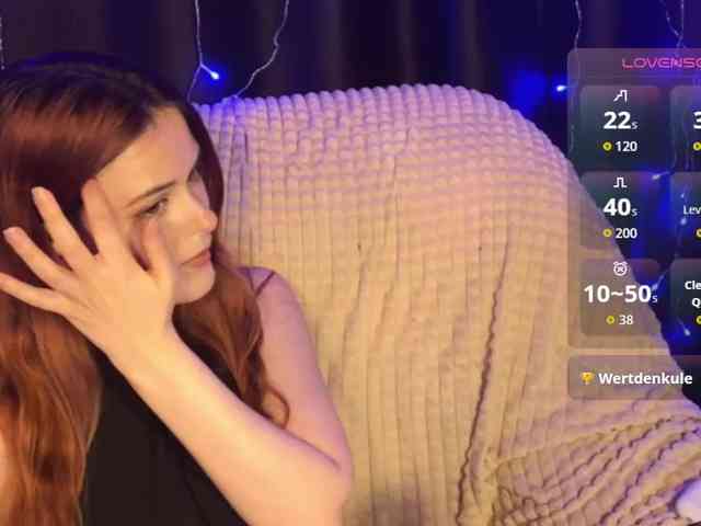 Veks webcam