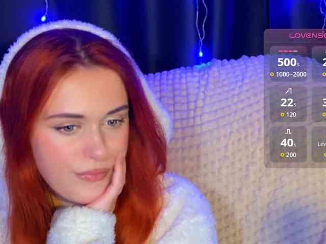 Veks webcam