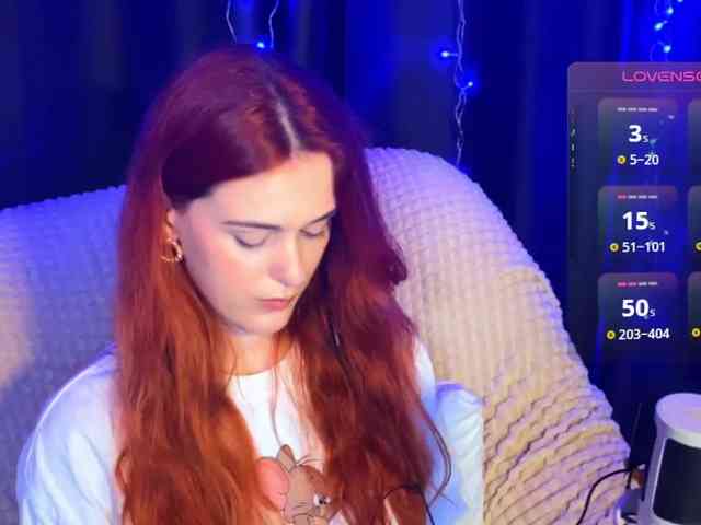 Veks webcam