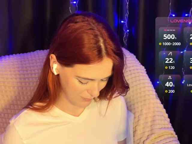 Veks webcam