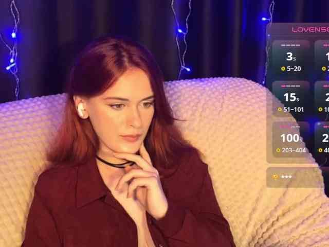 Veks webcam
