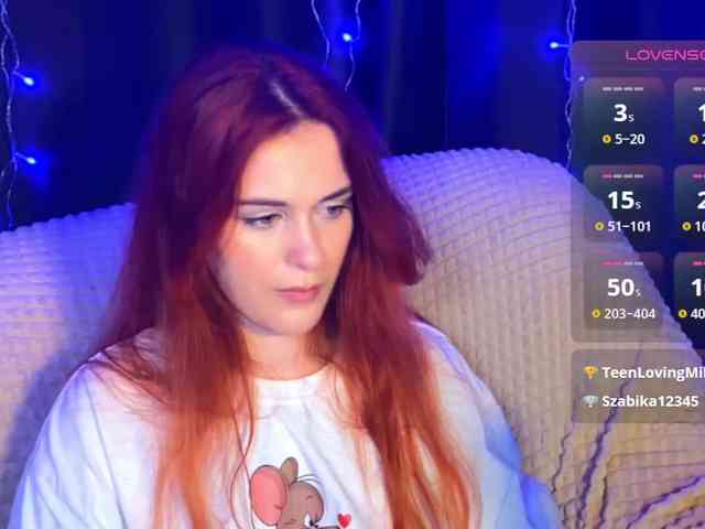 Veks webcam