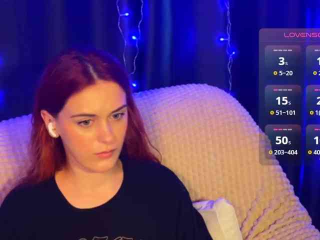 Veks webcam