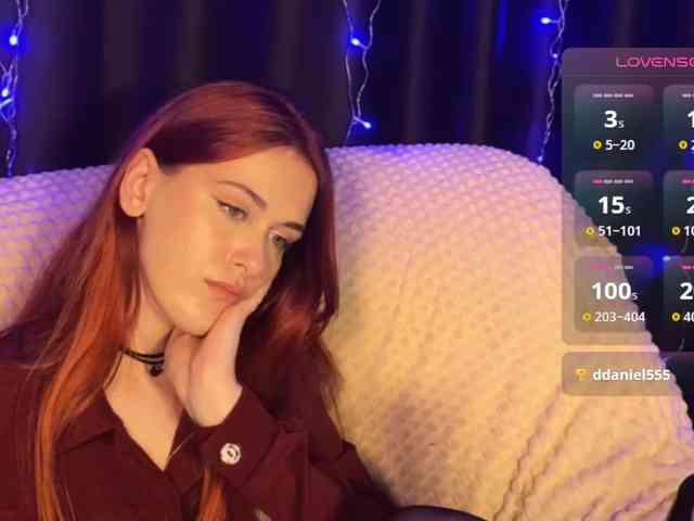 Veks webcam