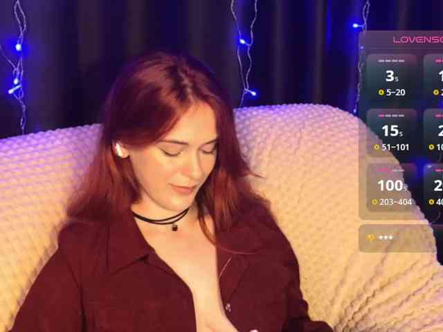 Veks webcam